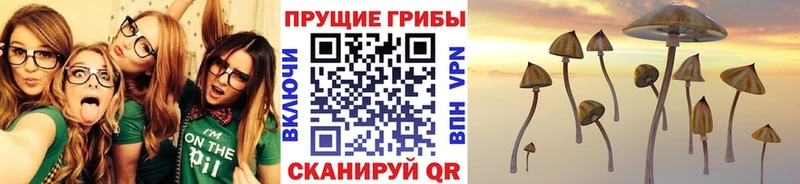 Псилоцибиновые грибы MAGIC MUSHROOMS  Сясьстрой 